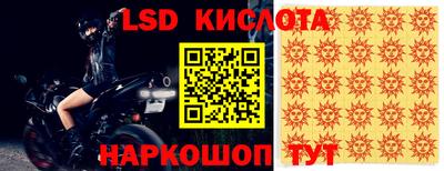 прущие грибы Будённовск