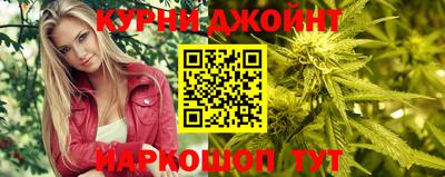 прущие грибы Будённовск