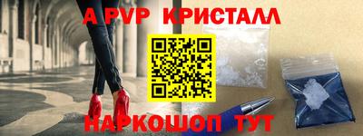прущие грибы Будённовск